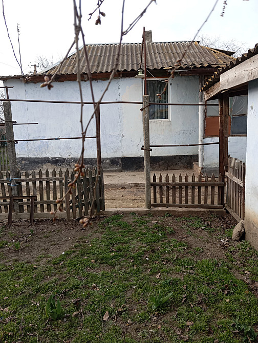 Продам дом в с.Новосельцы (Раздельнянский р-н, 40 км. от Одессы) Новосільці - фото 16