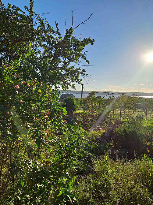 Продам капитальный дом в с. Мариновка с  красивым видом на лиман. Маринівка - фото 14