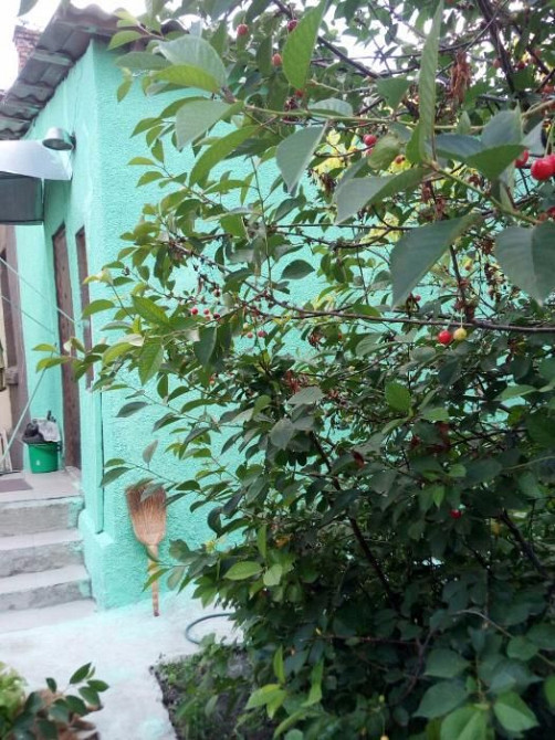 Продам квартиру на земле на Толбухина/Мегодом Одеса - фото 7