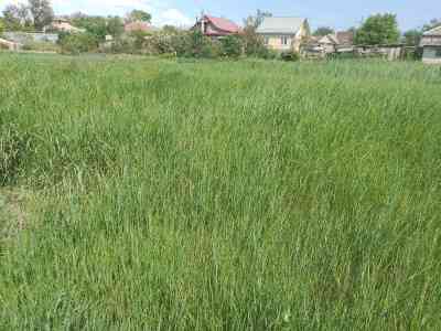 Продаж земельної ділянки 0.1 соток на ул. Ломоносова, 23б Нерубайське