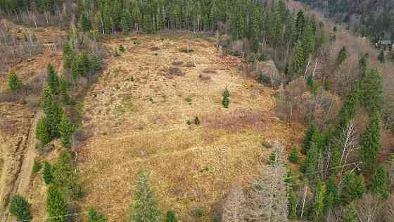 Продаж земельної ділянки 59 соток Гребенов