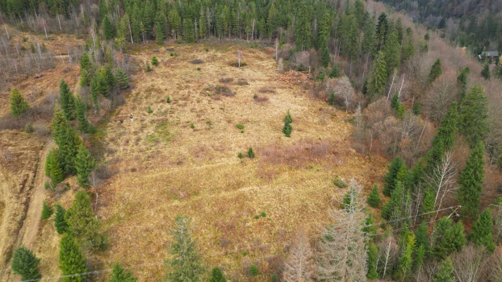 Продаж земельної ділянки 59 соток Hrebeniv - photo 2