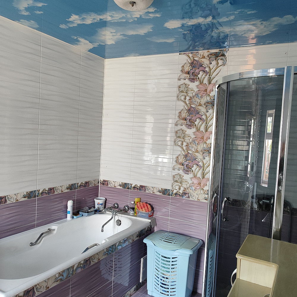 Продаётся два дома в одном дворе в  селе  Августовка Августівка - фото 12