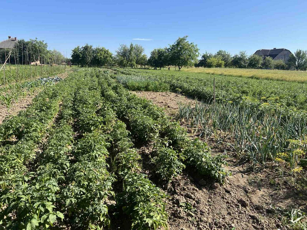 Продаж Квартира на улица Шевченка 61 Туради - изображение 16