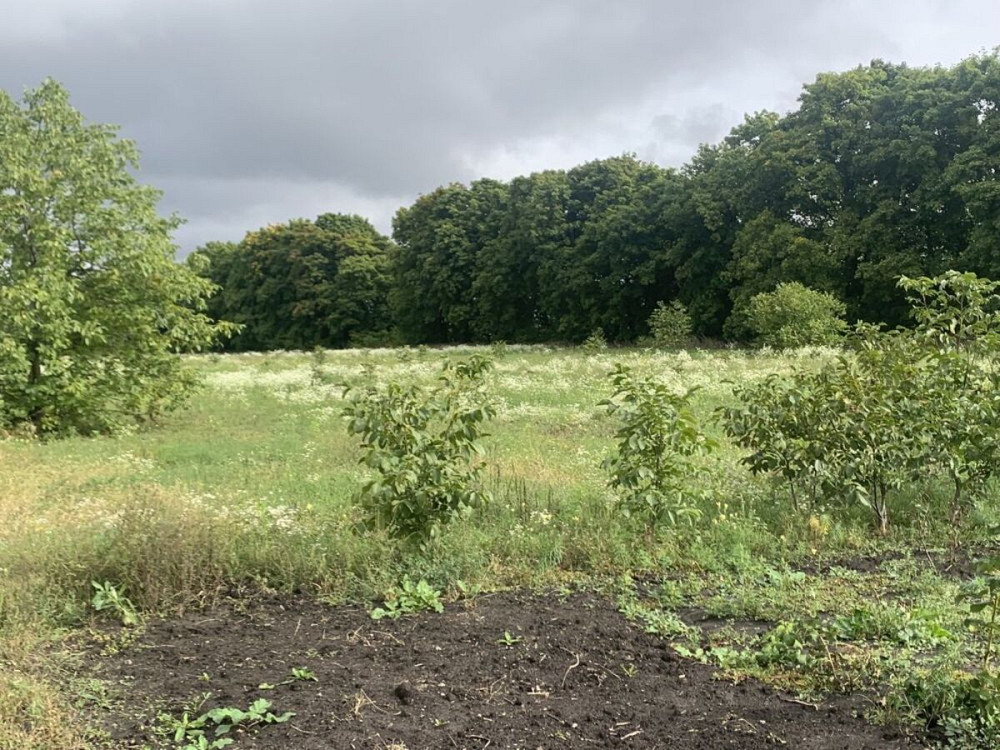 Продаж приміщення вільного призначення поверх - 1/1 Кропивницький - фото 3