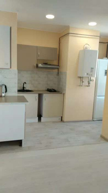 Оренда Квартира 1-кімнатна, 10/10 поверх Kiev - photo 4