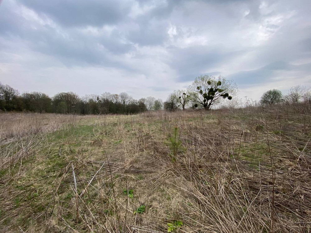 Продаж земельної ділянки 10 соток на вул. Осовиця Кременець - фото 5