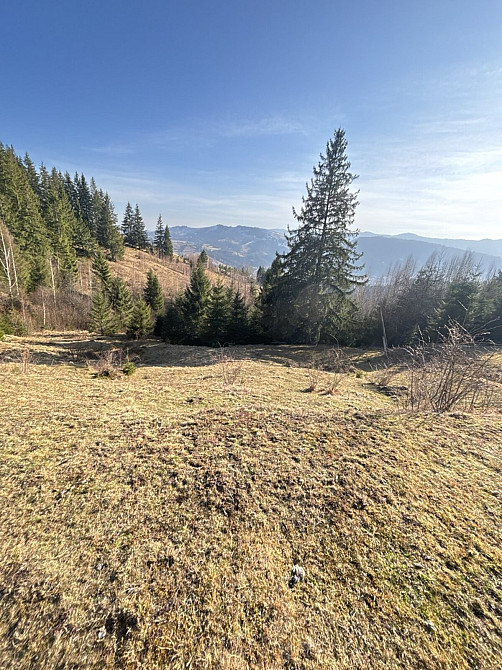 Продаж земельної ділянки 31 соток Verkhovyna - photo 7