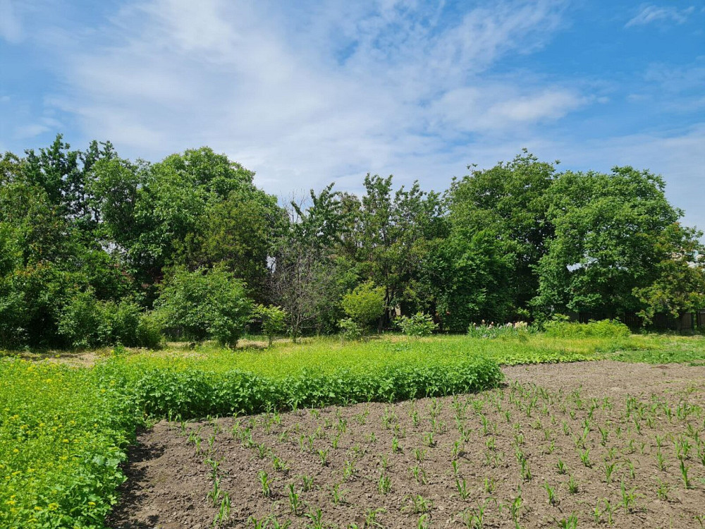 Продаж земельної ділянки 32 соток на вул. Щавинського Kiev - photo 4