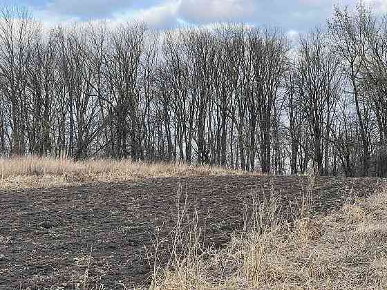 Продаж ділянки с. Підгородне Подгородное