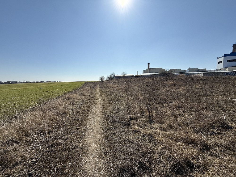 Продаж земельної ділянки 2.85 га Байківці - фото 17