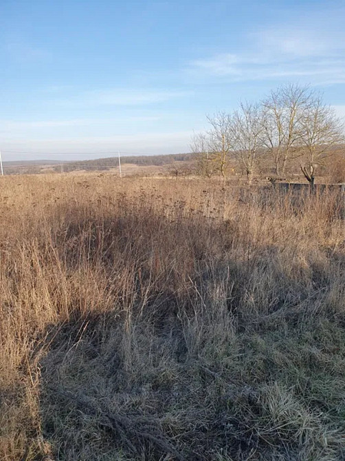 Продаж земельної ділянки 20 соток на Молодіжна Колодіївка - фото 2