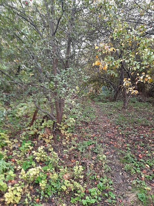 Продаж земельної ділянки 10 соток на АН Купи Дім Кропивницький - фото 5