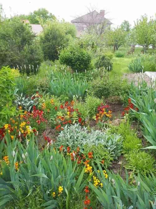 Оренда 1-поверховий Будинок з ділянкою 10 сот 100 кв.м 4 кімн. на вулиця Южна, 21 Одеса - фото 3