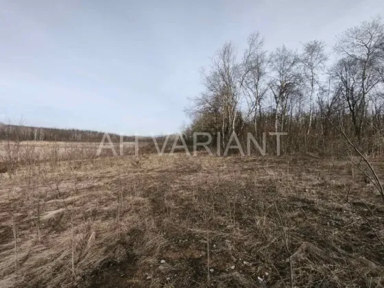 Продаж земельної ділянки Для сільськогосподарської діяльності площа 1191 сот Польова Середнє