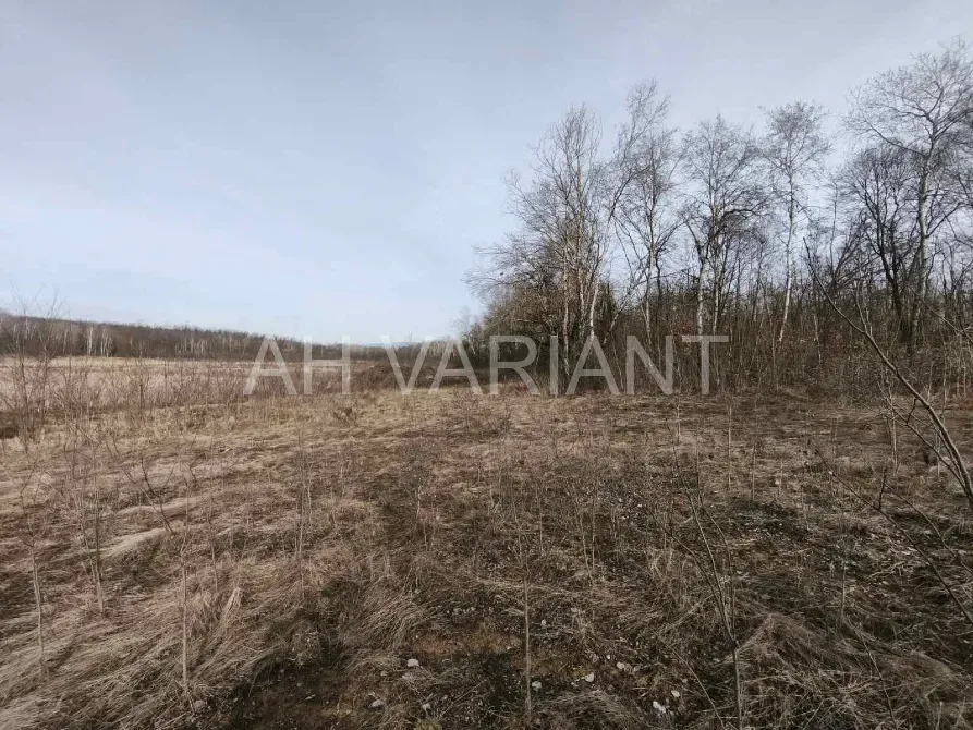 Продаж земельної ділянки Для сільськогосподарської діяльності площа 1191 сот Польова Середнє - фото 4