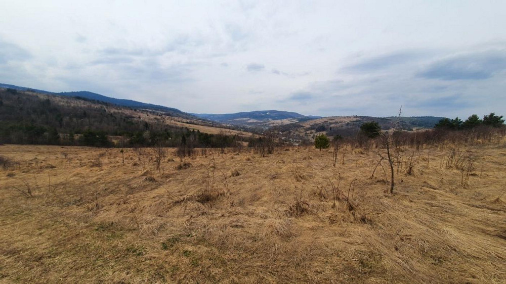 Продаж земельної ділянки 13.7 соток на вул. Шевченка Опака - фото 3