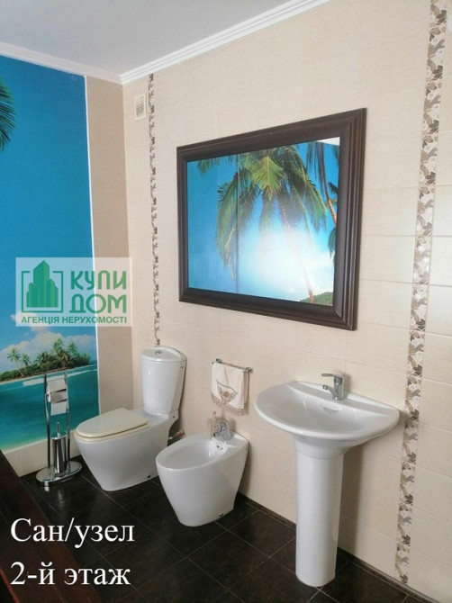 Продається розкішний будинок в Новій Олексіївці Кропивницький - фото 9