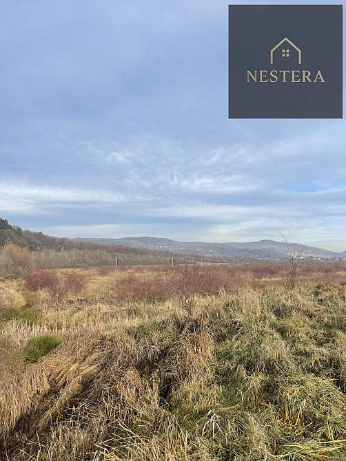 Продаж земельної ділянки 2 га Кам'яниця - фото 2