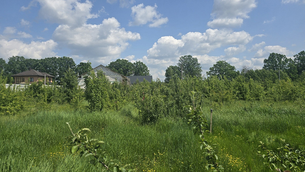 Продаж земельної ділянки 8 соток на Садова Ивановка (Баранивський район) - изображение 4