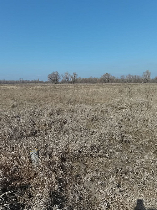 Продаж земельної ділянки 12 соток на вул. Садова Pohrebы - photo 1