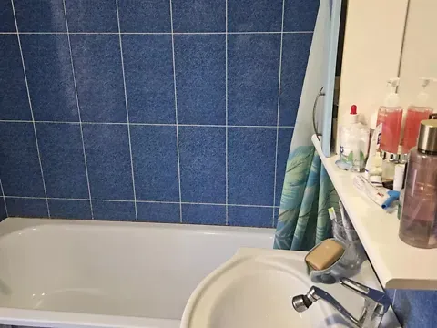 Продажа 1-этажный   68 кв.м 3 комн. на Пархоменка провулок 2 Кропивницкий - изображение 5