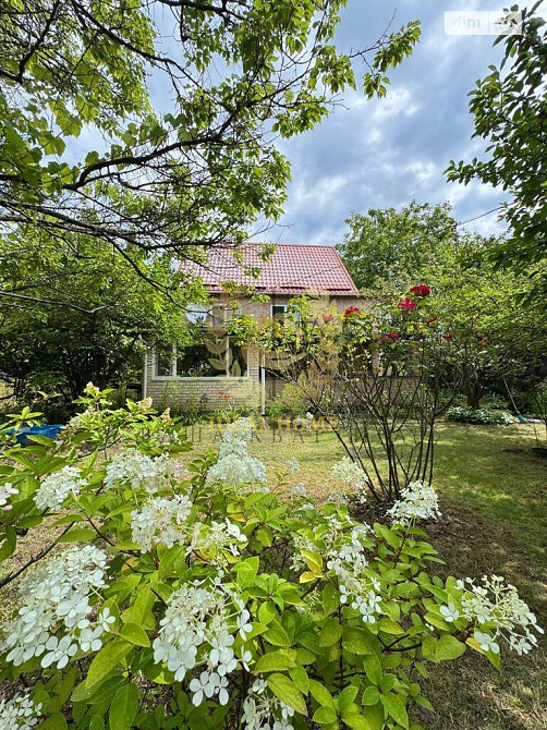 продам будинок с.підгірці  - фото 4