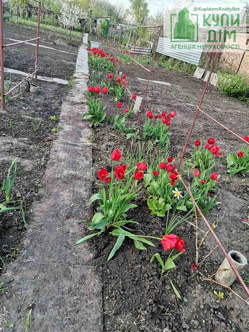 Продам будинок 60 м2 в р-ні Пивзаводу. Кропивницький - фото 15