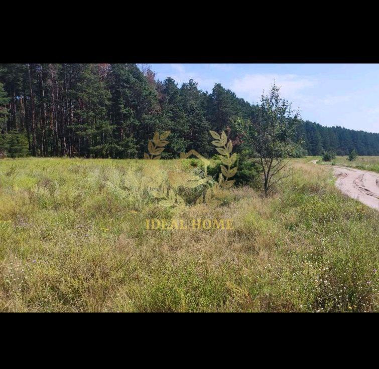 Продаж земельної ділянки 20 соток на Садовая ул., 52 Yasnohorodka (Vyshhorodskyi raion) - photo 4