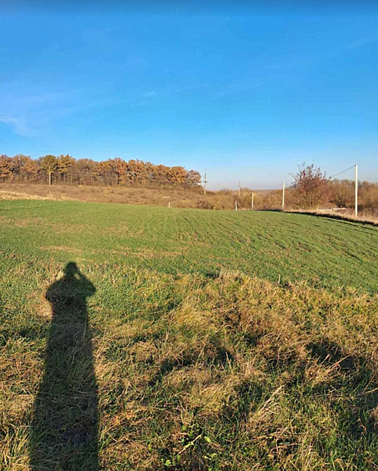 Продаж земельної ділянки 32 соток Baikivtsi - photo 4