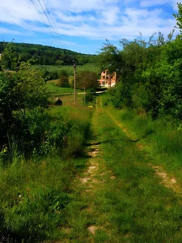 Продаж земельної ділянки  площа 12 сот   - фото 12