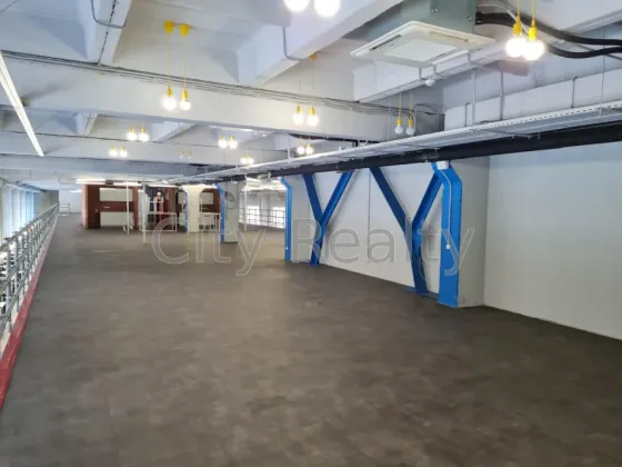 Сдаётся Офисные помещения площадь 1712 кв.м 1-й этаж Киев Шолуденка 3 Киев