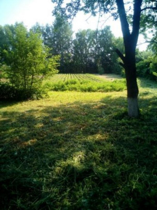 Продаж земельної ділянки 25 соток  - фото 1