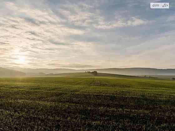 Продаж земельної ділянки 1.7 га 