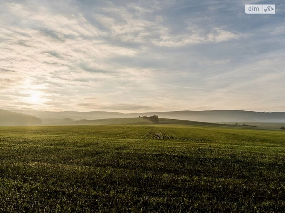 Продаж земельної ділянки 1.7 га  - изображение 4