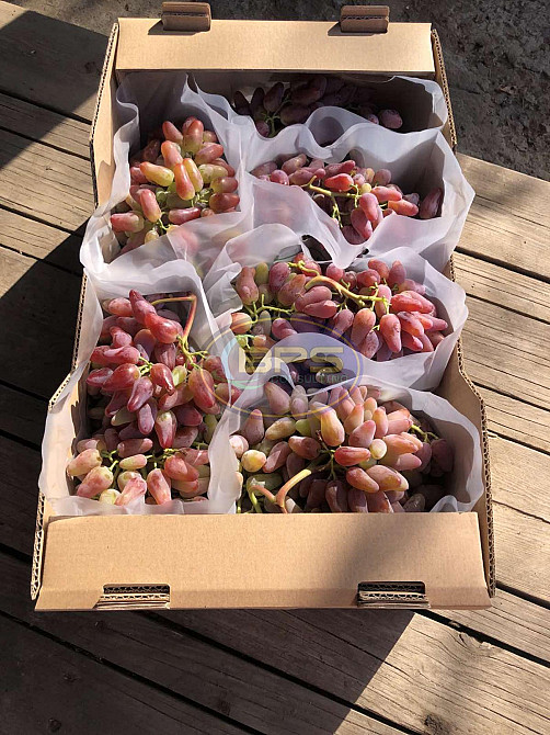 Продаж земельної ділянки 7.72 га на вул. 1 Овідіополь - фото 17