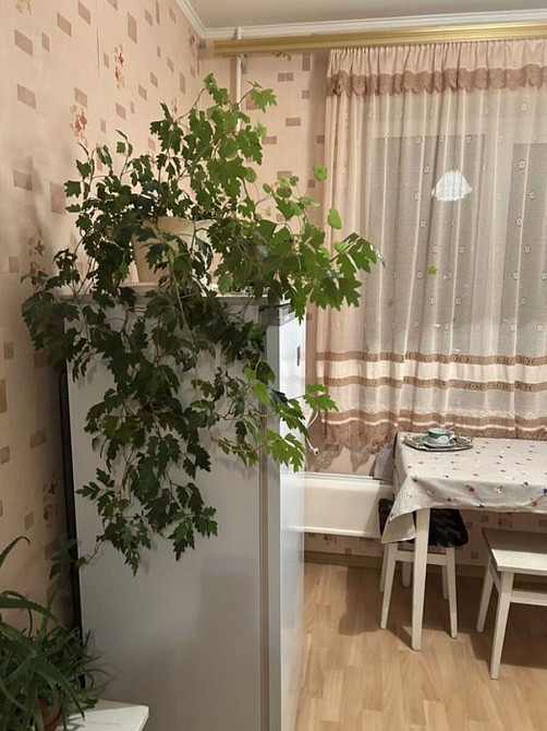 Оренда Квартира 3-кімнатна, 8/9 поверх на просп. Миколи Бажана, 9 Киев - изображение 14