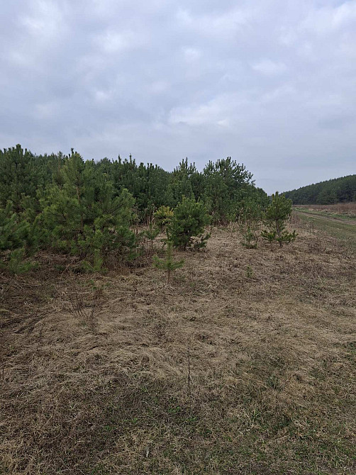 Продаж земельної ділянки 12 соток Kremenets' - photo 6