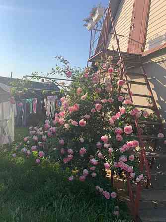 Предлагается к продаже уютный, одноэтажный частный дом в ближайшем пригороде Одессы Velyka Balka