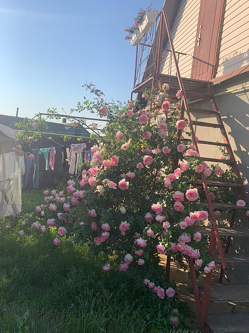 Предлагается к продаже уютный, одноэтажный частный дом в ближайшем пригороде Одессы Велика Балка - фото 4