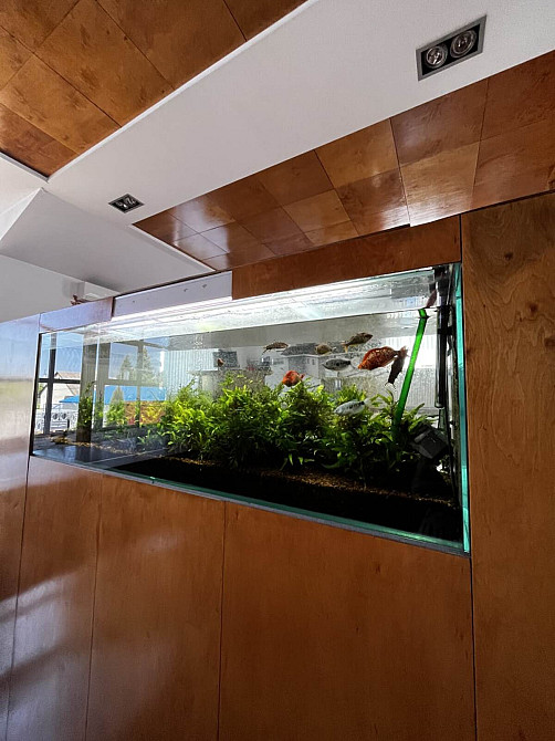 Продаж приміщення вільного призначення поверх - 1/2  - photo 9