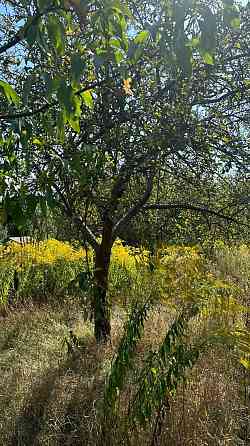 Продаж земельної ділянки 0.55 соток Vovchynets