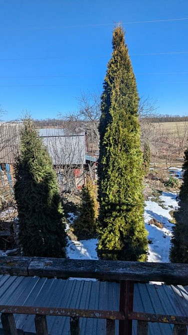 Продаж Будинок на с.Рибаче Vinnytsya - photo 15