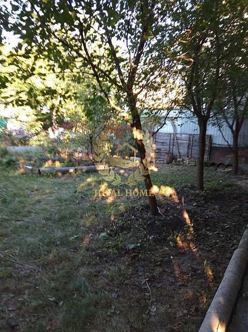 Продам дачу біля річки, с. Осещина Осещина - изображение 5