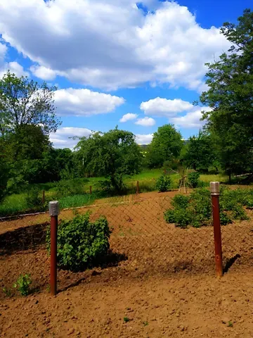 Продаж земельної ділянки  площа 6 сот Глибока Долина вулиця Тернопіль - фото 7