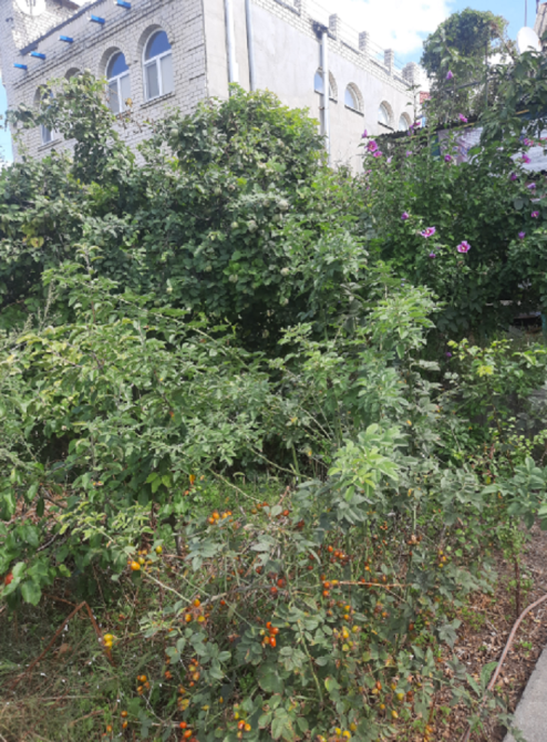 Продаётся уютная зимняя дача в Черноморке Одеса - фото 1