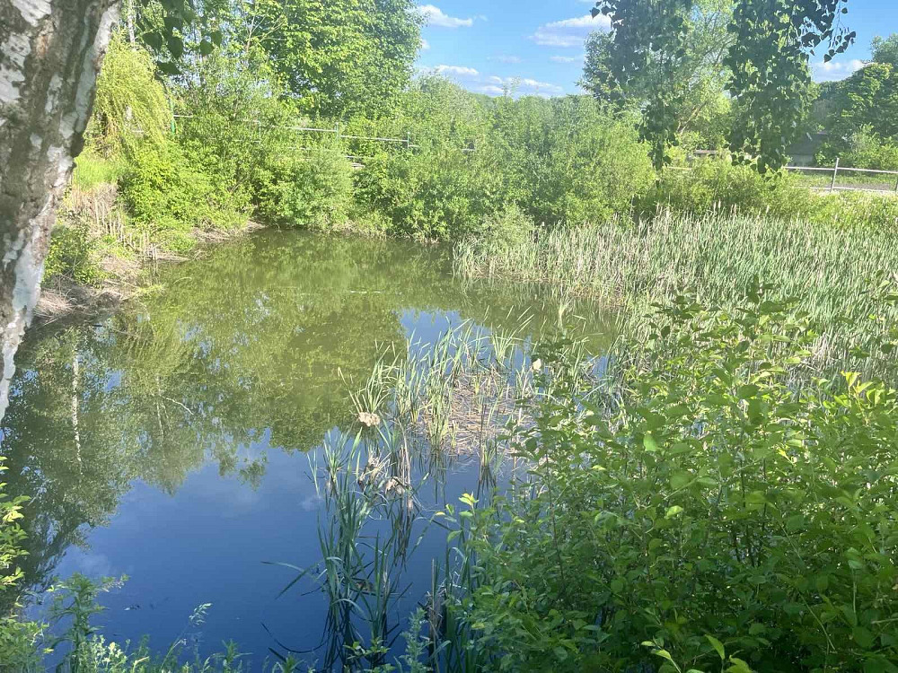 Без комісії!!!Продається будинок з власним озерцем поблизу Тернополя  - фото 2