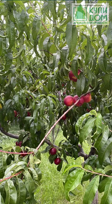 ПРОДАМ НЕЙМОВІРНИЙ БУДИНОК в мальовничому місці. Кропивницький - фото 29