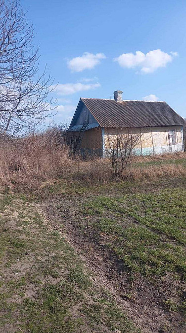 Продаж земельної ділянки 25 соток на вул. Івана Франка Голишів - фото 6