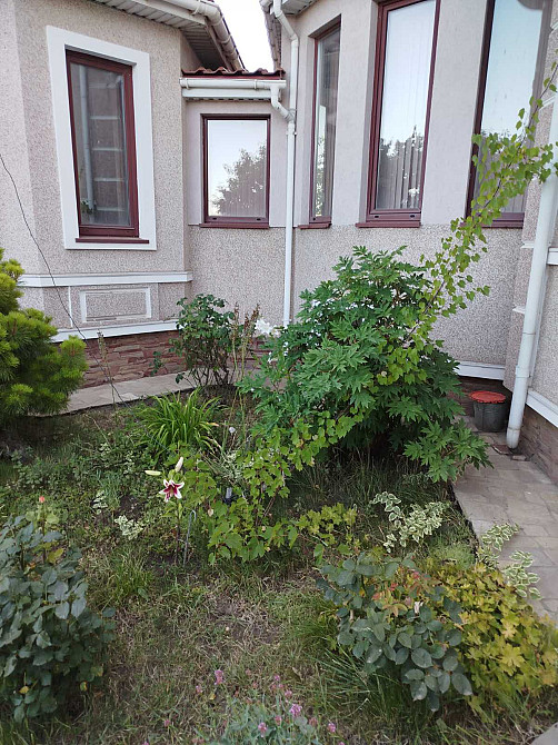 Красивый дом в Сухом Лимане. Сухий Лиман - изображение 15